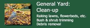 general yard and cleanup