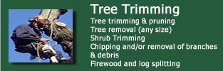 Tree Trimming and Removal